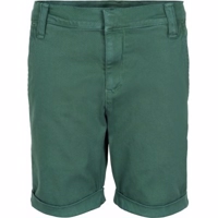 The New - Gustavo Chino Shorts // Galapagos grøn